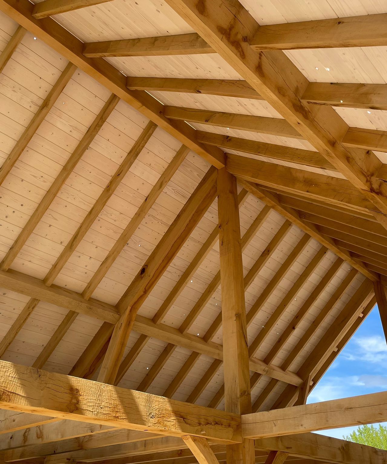 Buitenverblijf constructie 1